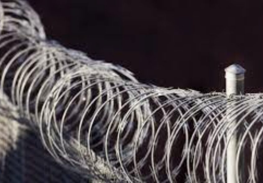 photo of barbed wire