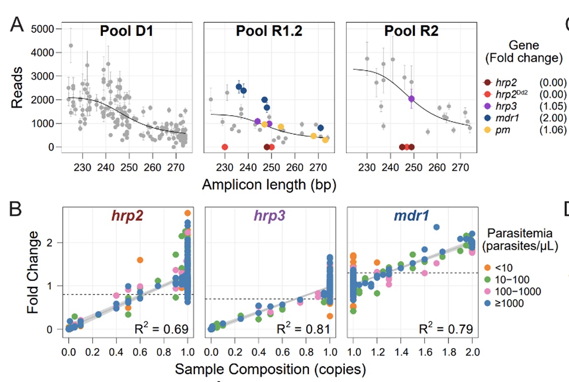 graphs of Amplicon length & reads