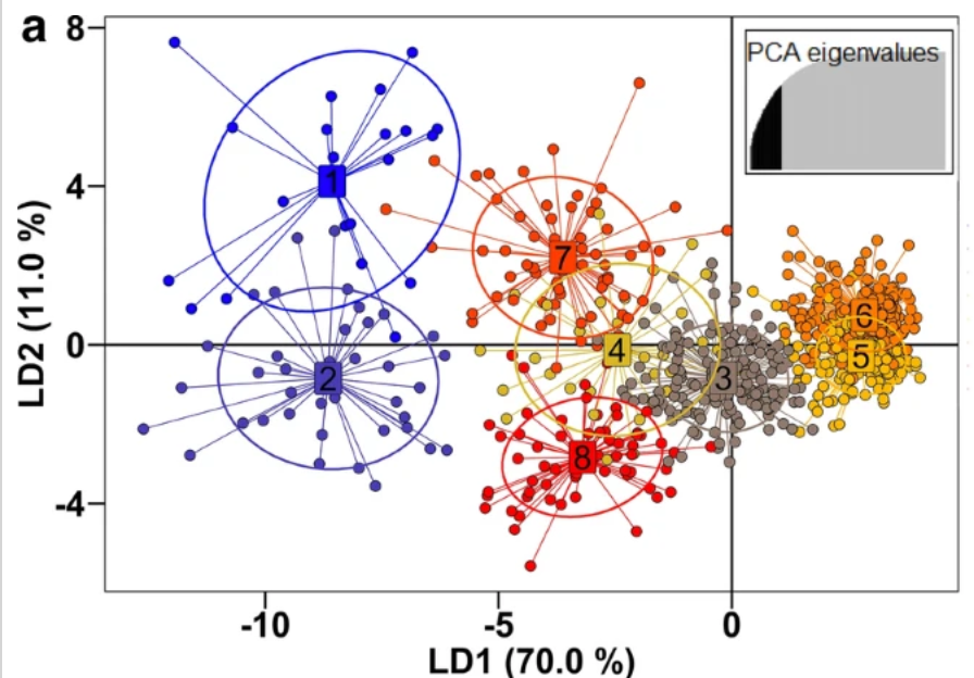 catterplot of DAPC in genetic clusters of P. falciparum